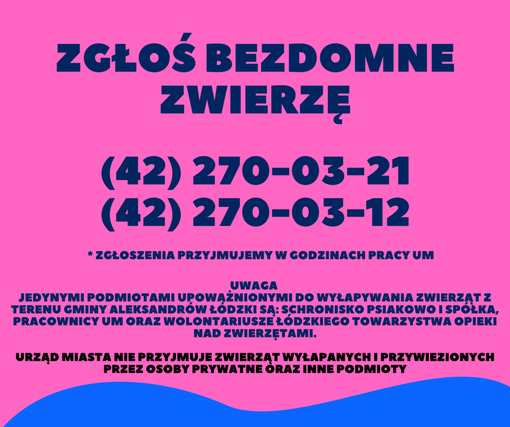 zgłoś bezdomne zwierzę