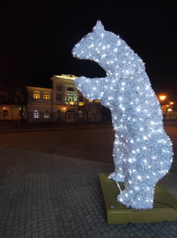 Świąteczny oświetlony miś w Parku Miejskim